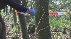 Jela k příteli na kole, cestou ji někdo zabil. Policie dopadla podezřelého