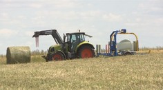 Zemědělci řeší několik zásadních problémů najednou. Expert řekl, jak se to propíše do cen
