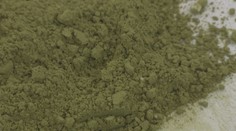 Opatřit si kratom už nebude tak snadné. Vláda chystá zpřísnění podmínek