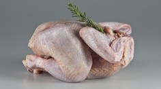 Umýváte KUŘECÍ před pečením? Ohrožujete tím své zdraví!