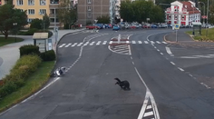 Motorkář ujel policejní kontrole. Měl pozitivní test na drogy