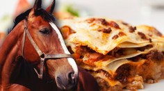 Do Česka se prý dostaly lasagne s koňským masem. Není to pravda, brání se dovozce