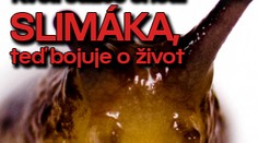 Kvůli sázce snědl slimáka, teď bojuje o život