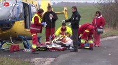 Šestiletého chlapce pokousali rotvajleři. Bojuje o život