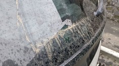 Ústí zasypal žlutý prach. Továrna na řepkový olej měla problém s filtry