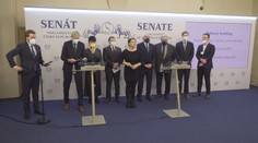 Brífink místopředsedy Senátu Jana Horníka k ústavnímu podání ve věci povinného očkování