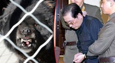 HOROROVÁ POPRAVA: Kim předhodil nahého strýčka hladovým psům!