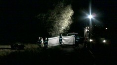 OBRAZEM: Auto se rozpůlilo o strom. Jeden člověk nepřežil
