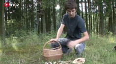 KONEČNĚ ROSTOU. Houbaři z Vysočiny mají plné koše