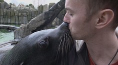 VÍKEND: Den chovatele lachtanů v pražské ZOO