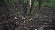 Tragédie na Mělnicku: Auto s mladými lidmi narazilo do stromu. Dva zemřeli!