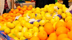 Čím budeme léčit nachlazení? Cena citrónů atakuje stovku!