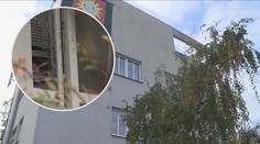 Lupiči měli svázat hlídače a zajímat se o trezor! Policie o případu mlčí