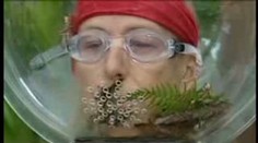 Martina Navrátilová v extrémní reality show. S brouky, hady a pavouky