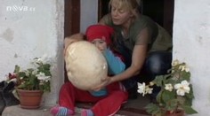 Houbařský úlovek: rodina donesla domů obří pýchavky