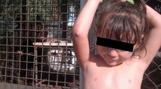 Medvěd Dášence (3) ukousl ruku. Těsně po vyfocení tohoto snímku!