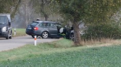 Auto najelo u Vlašimi do stromu. Řidič zemřel, děti odvezly vrtulníky