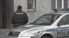 Muž měl zabít vlastní matku. Do vězení ale zřejmě nepůjde