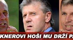 Rakouské angažmá Brücknerovi sedne, shodují se jeho nejbližší