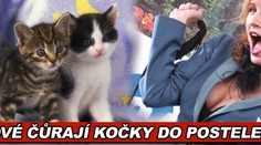 Zpěvačce Norisové do postele čůrají kočky