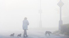 Varování: Nejezděte auty, nebuďte dlouho venku! Česko zahalil smog
