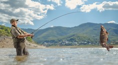Brit ulovil z Balatonu obřího kapra. Vážil téměř 50 kilogramů