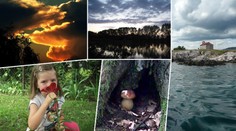 Úlovek léta: Hlasujte pro nejlepší fotku dalšího týdne