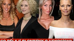 Co dělají blondýny o Vánocích?
