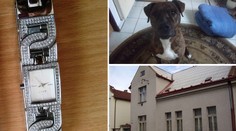 SUPER NABÍDKA: Stát se levně zbavuje majetku! PŘEHLED