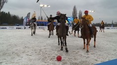 VIDEO: Světová rarita! V Pardubicích hráli koňské pólo na ledu