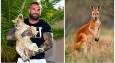 Lev a žraloci nejsou vše: Vémola už koupil další exotické zvíře