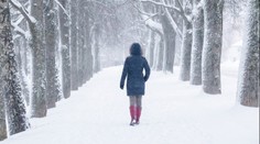 VÝSTRAHA: Do Česka se vrátila zima a sníh. Hrozí námraza i ledovky