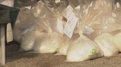 Evropané si oblíbili kokain a konopí. Způsoby jejich pašování se stále vylepšují