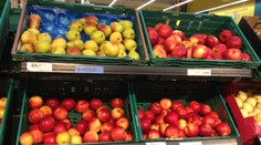Kam zmizelo české ovoce? V supermarketu naše jahody ani jablka neseženete. Proč?