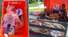 Zkažená jelita i tlačenka na trhu v Brně! Oblíbené pochutiny už páchly
