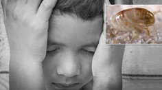 Blecha nakazila chlapce morem! Lékaři teď bojují o jeho život