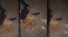 Rodina napadené dívky (11) ze Slovenska: Dcera se dosud nevzpamatovala
