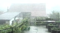 Zemědělci se pojišťují proti špatnému počasí