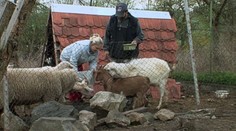 Výměna manželek: Dítě v 15 letech a trauma ze zvířecí farmy