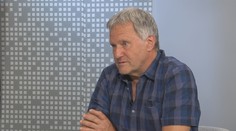 Migrující zvířata kvůli dálnicím ztrácejí přirozenou plachost, říká odborník