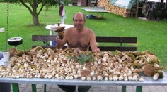 Houbaři trpí: Houby kvůli suchu nerostou. Pomůže až změna počasí