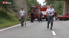 Řidič naboural do mostu a zemřel