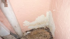 Tady v tom HUMUSU pekli chleby a housky! GALERIE