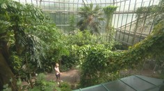 Tipy na výlet: Unikáty v botanických zahradách. Česko jich nabízí hodně