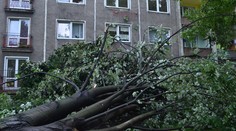 Bouřky lámaly stromy, tisícům Čechů nejde proud! PŘEDPOVĚĎ