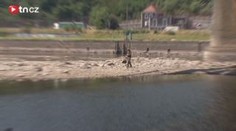 Rejdaři čekají milionové ztráty. V Labi je málo vody