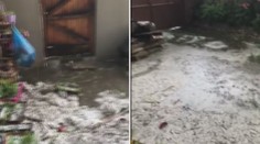 Na Vysočině hrozí velmi silné bouře, hasiči odklízí spadané stromy