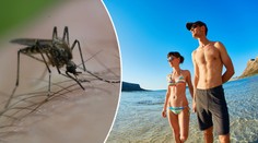 U Jadranu se před sezónou objevila smrtící nemoc. Úřady hlásí první oběť malárie