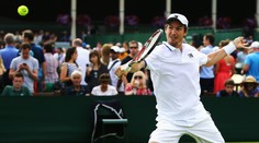 Fantazie! Češi ve Wimbledonu vyhráli vše