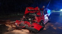 Auto srazilo divočáka a zastavilo, následovala bouračka jak z Kobry 11